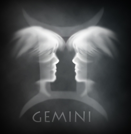 gemini1214